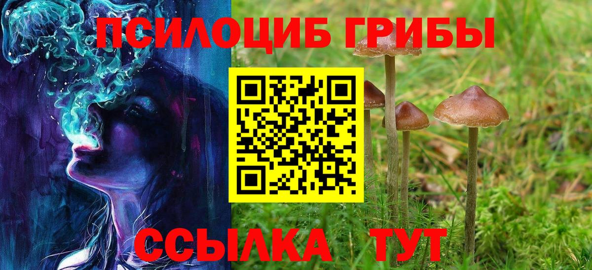 Галлюциногенные грибы мицелий Омск